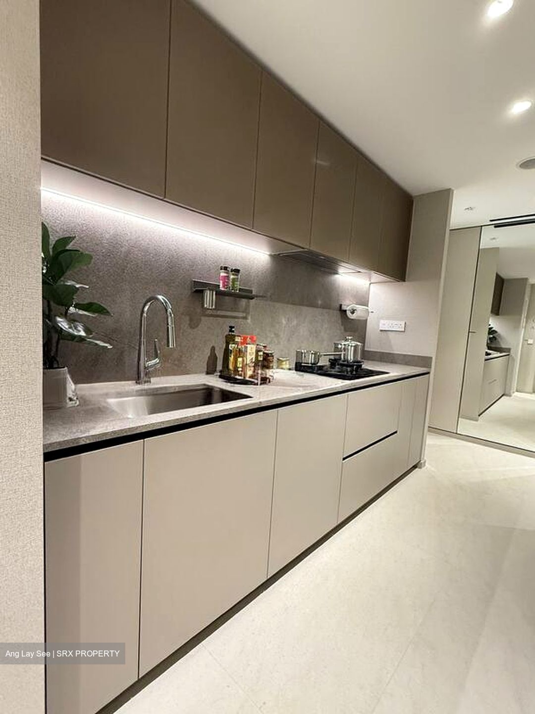 Zion Road (D3), Condominium #498242291